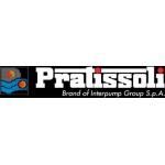 Плунжерные насосы высокого давления Pratissoli